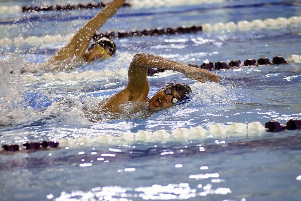 Boys swim team find groove en route to Sectionals
