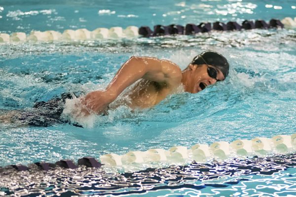 Senior Noah Newman is excelling in the freestyle.