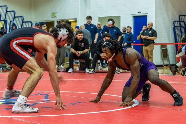 Wrestling team sends 5 to State competition