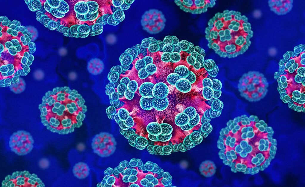 Hantavirus breakout sparks new pandemic fears